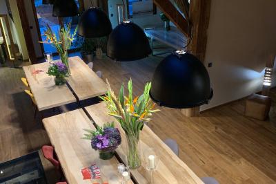 Table en bois avec verres à pied, carafe de boisson, herbes fraîches et décor intérieur lumineux et végétalisé.