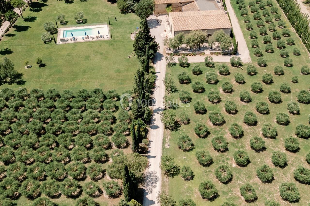 Vue aérienne d'une propriété entourée de vignes et d'oliviers, avec une piscine et des bâtiments en pierre.