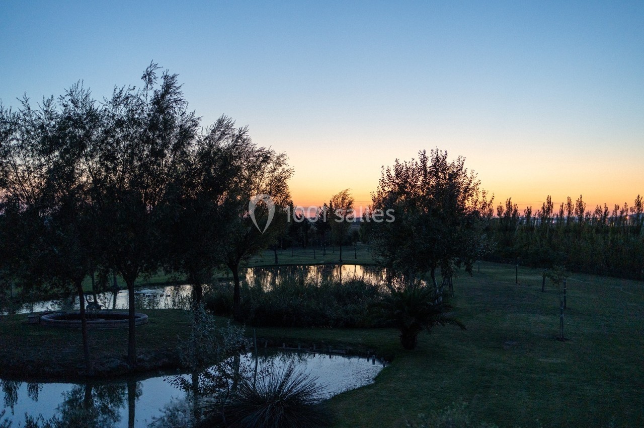 Paysage au coucher du soleil avec des arbres, des étangs et une pelouse dans un cadre naturel paisible.