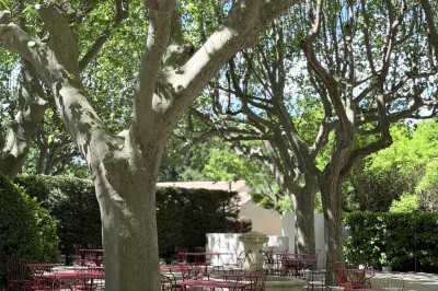 Table dressée avec assiettes, couverts, verres, serviettes et menu sur un set de table rond dans un restaurant.