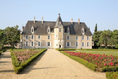 Façade d'un château avec une tour centrale et des fenêtres, entouré de végétation.