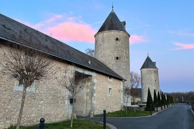 Façade d'un château avec une tour centrale et des fenêtres, entouré de végétation.
