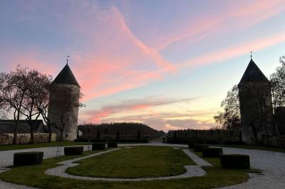 Façade d'un château avec une tour centrale et des fenêtres, entouré de végétation.