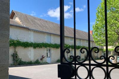 Façade d'un château avec une tour centrale et des fenêtres, entouré de végétation.