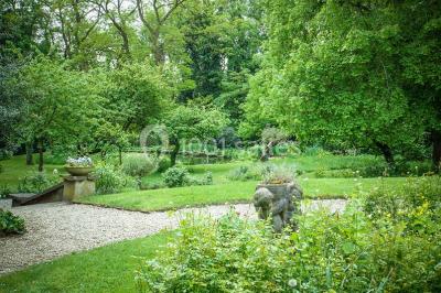Un petit pont en bois traverse un ruisseau entouré de verdure et de fleurs dans un paysage forestier.