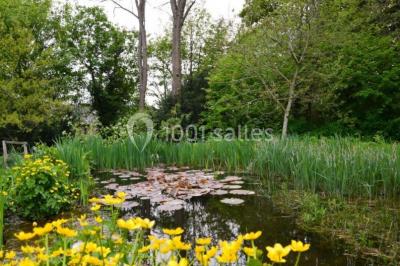 Un petit pont en bois traverse un ruisseau entouré de verdure et de fleurs dans un paysage forestier.