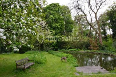 Un petit pont en bois traverse un ruisseau entouré de verdure et de fleurs dans un paysage forestier.