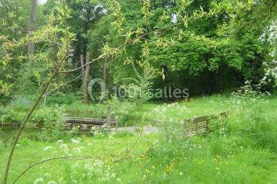 Un petit pont en bois traverse un ruisseau entouré de verdure et de fleurs dans un paysage forestier.