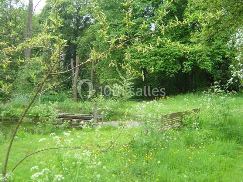 Un petit pont en bois traverse un ruisseau entouré de verdure et de fleurs dans un paysage forestier.