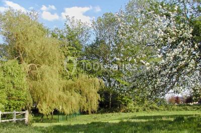 Un jardin verdoyant avec des arbres, de l'herbe fraîchement tondue, un banc en pierre et une clôture en arrière-plan.