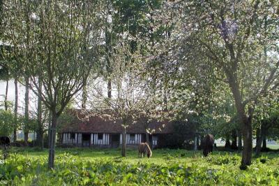 Un jardin verdoyant avec des arbres, de l'herbe fraîchement tondue, un banc en pierre et une clôture en arrière-plan.