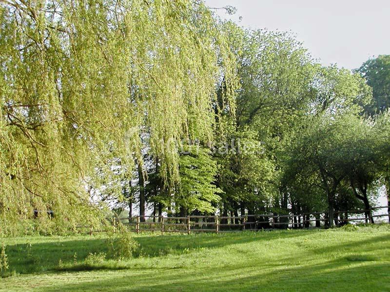Un parc verdoyant avec des arbres feuillus, une clôture en bois et une pelouse baignée de lumière naturelle.
