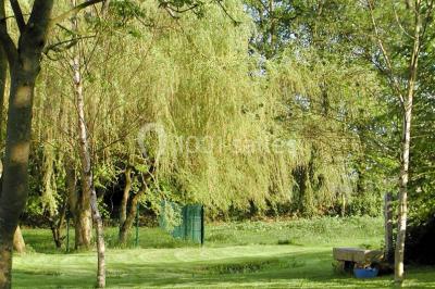 Un jardin verdoyant avec des arbres, de l'herbe fraîchement tondue, un banc en pierre et une clôture en arrière-plan.