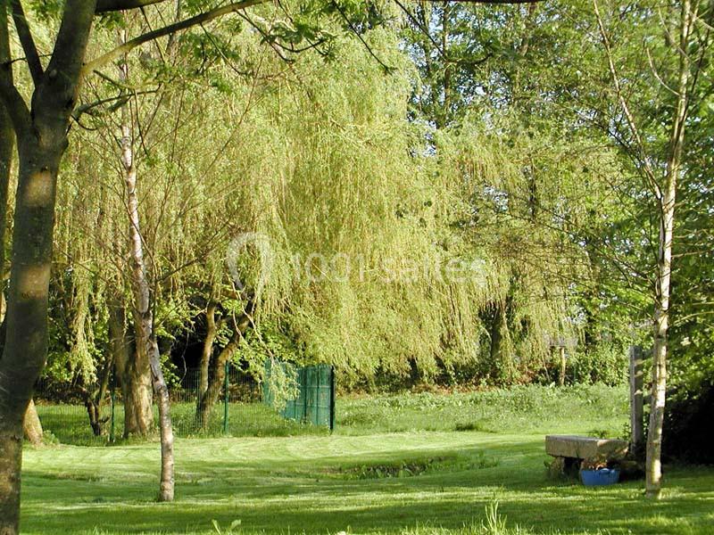 Un jardin verdoyant avec des arbres, de l'herbe fraîchement tondue, un banc en pierre et une clôture en arrière-plan.