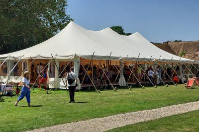 Showtail Light Showtail Light