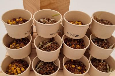 Plateau de canapés garnis de crevettes et mousse noire, disposés sur une table devant un sapin illuminé.