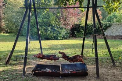 Plateau de canapés garnis de crevettes et mousse noire, disposés sur une table devant un sapin illuminé.
