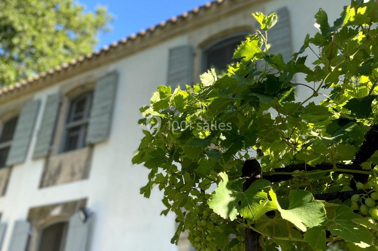Location salle Arles (Bouches-du-Rhône) - Le Mas des Bécasses #23