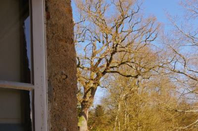 Location salle Derval (Loire-Atlantique) - Château de la Garlais  #20