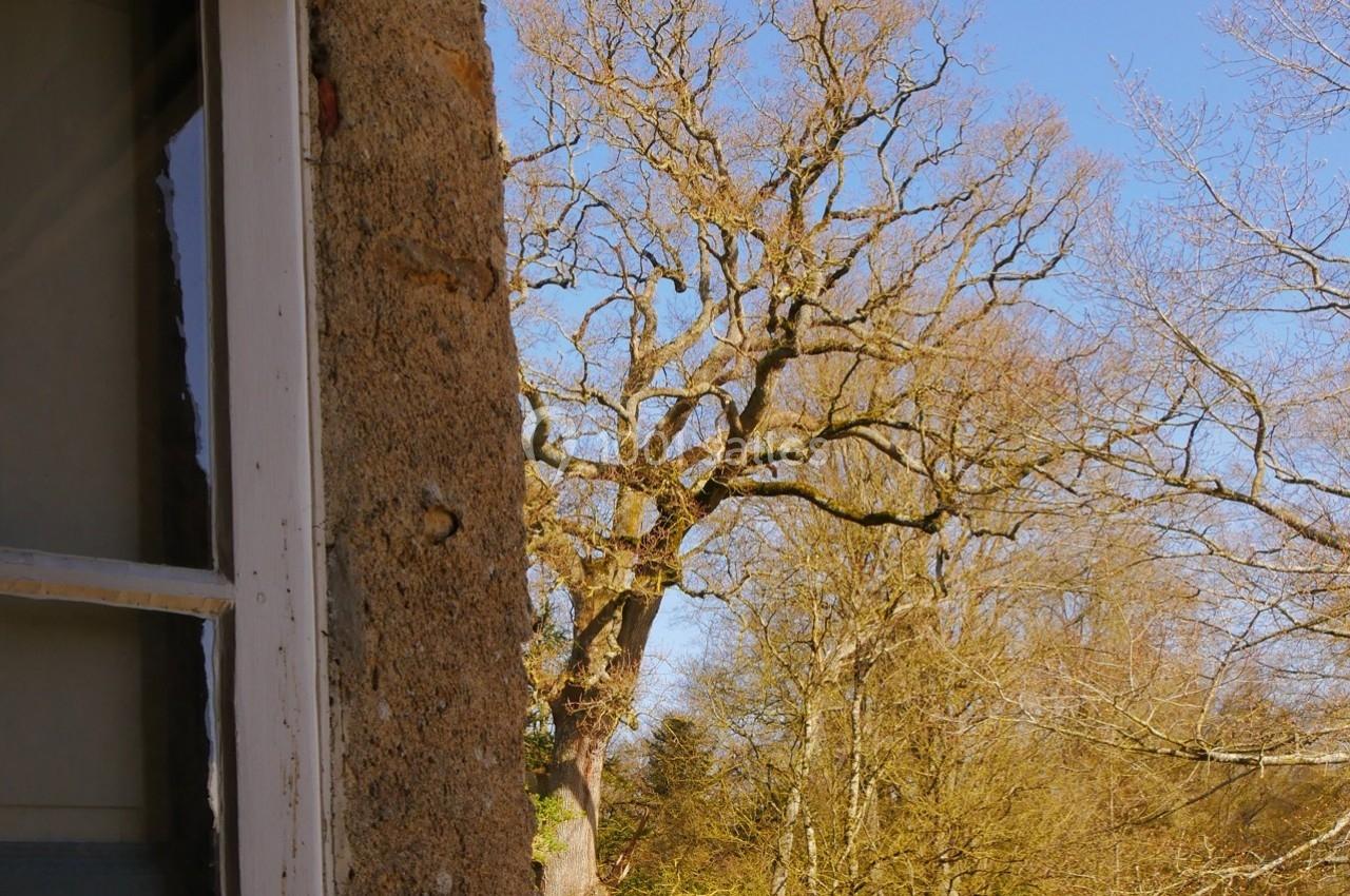 Location salle Derval (Loire-Atlantique) - Château de la Garlais  #5