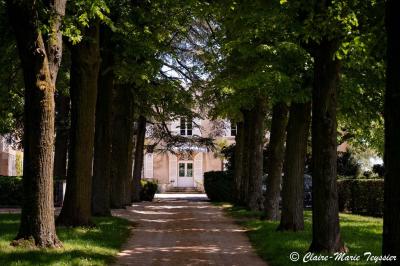 Château entouré d'arbres et de champs verdoyants sous un ciel partiellement nuageux.