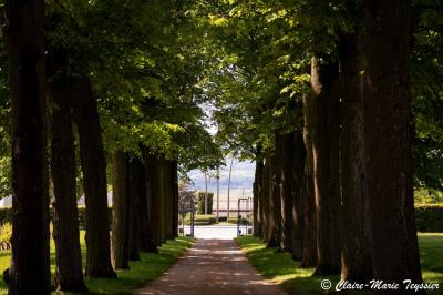 Location salle Pommiers (Rhône) - Domaine de Montclair #51
