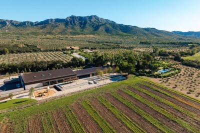 Terrasse ombragée avec pergola en bois, tables et chaises devant un bâtiment moderne avec de grandes baies vitrées.