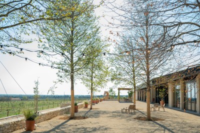 Terrasse ombragée avec pergola en bois, tables et chaises devant un bâtiment moderne avec de grandes baies vitrées.