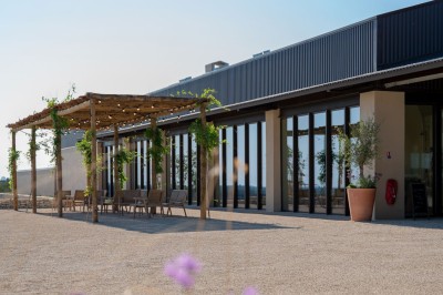 Terrasse ombragée avec pergola en bois, tables et chaises devant un bâtiment moderne avec de grandes baies vitrées.