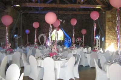 Location salle Saint-Rémy-du-Plain (Ille-et-Vilaine) - Gobeleterie #25