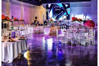 Le White - photo 6