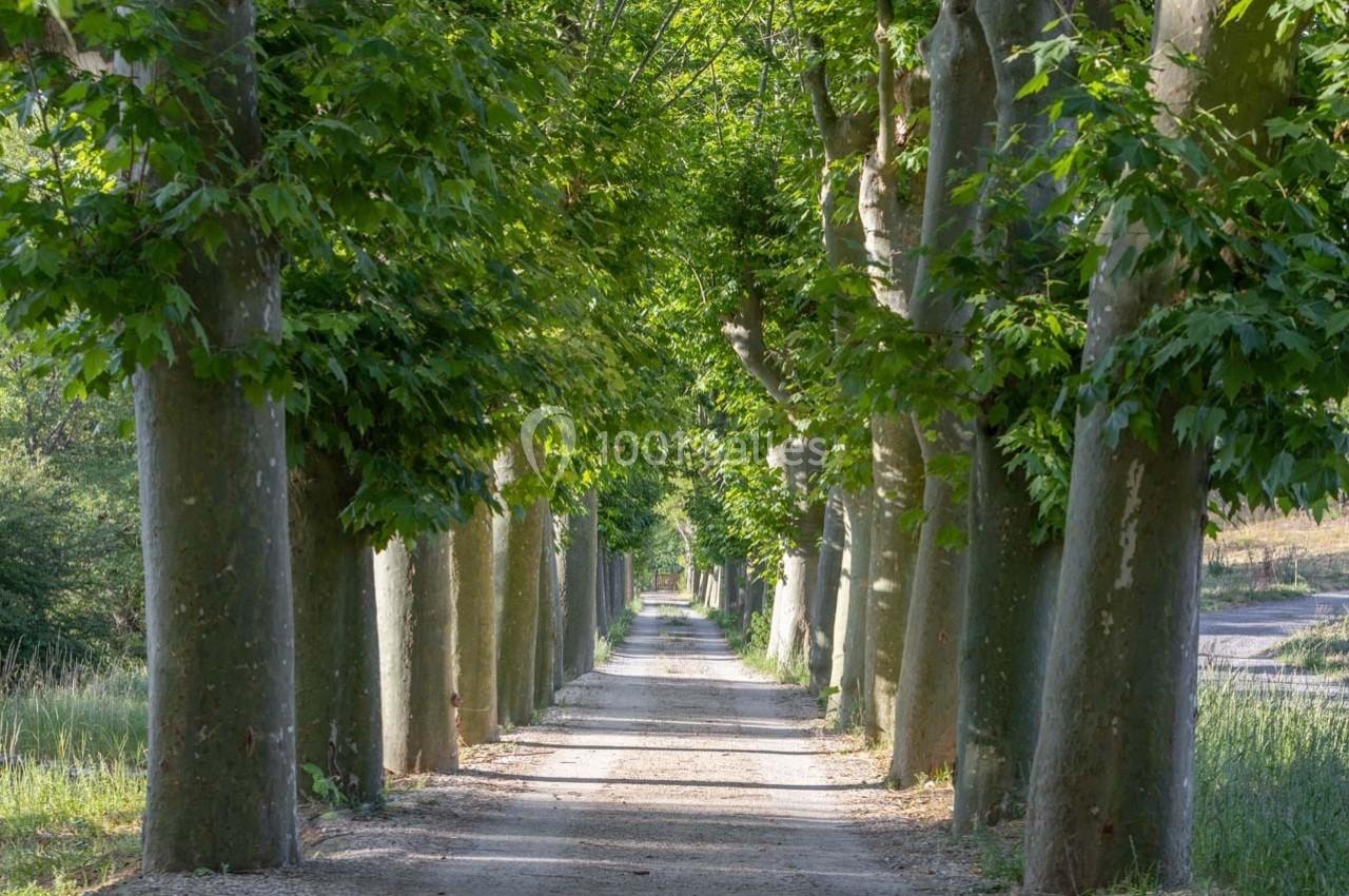 Location salle La Penne (Alpes-Maritimes) - Domaine la Plume #19