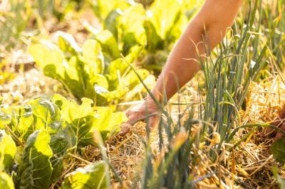 Location salle La Penne (Alpes-Maritimes) - Domaine la Plume #23