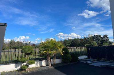 Un olivier taillé dans un grand bac blanc devant une façade moderne éclairée.