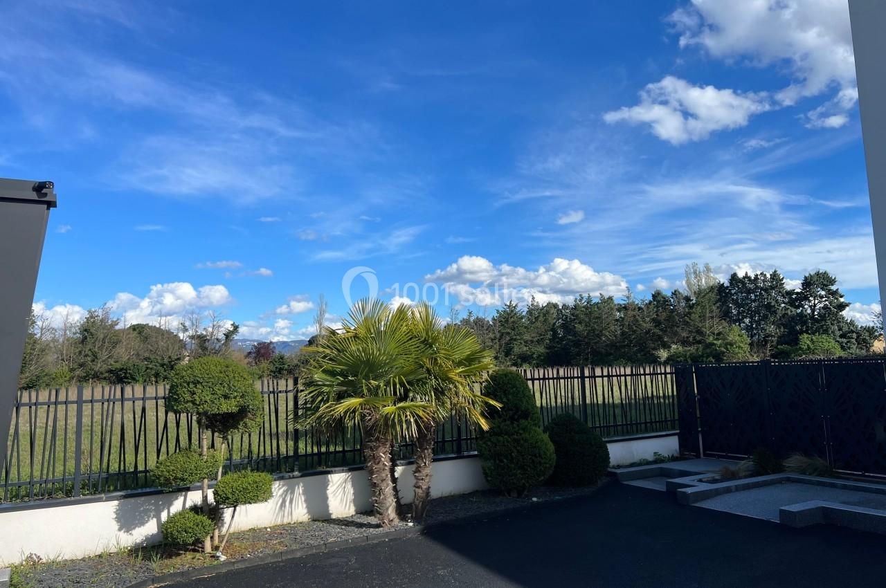 Vue d'une cour avec un palmier, des arbustes taillés, une clôture métallique et un champ sous un ciel bleu.