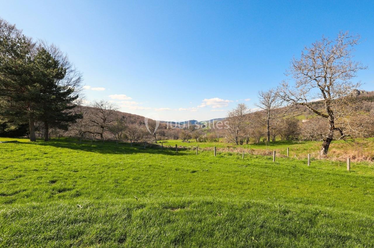 Paysage rural avec une prairie verte, des arbres clairsemés et des collines sous un ciel bleu dégagé.