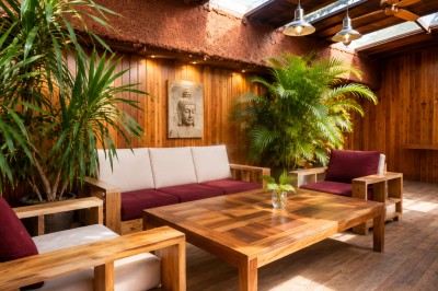 Espace salon chaleureux avec mobilier en bois, coussins rouges, plantes vertes et lumière naturelle entrant par le toit.