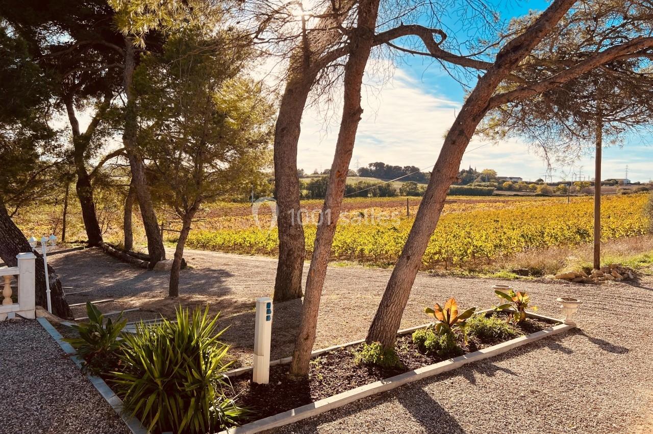 Location salle Béziers (Hérault) - Domaine des Hautes Vignes #8