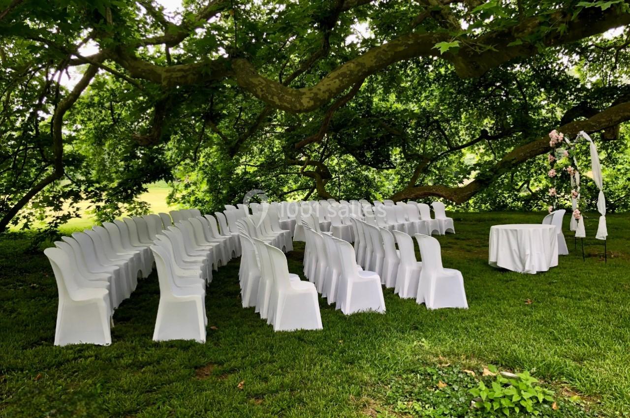 Chaises blanches disposées en arc sous un grand arbre pour une cérémonie en plein air.