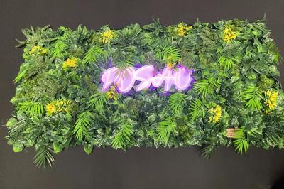 Location salle Montauban (Tarn-et-Garonne) - Posao #8