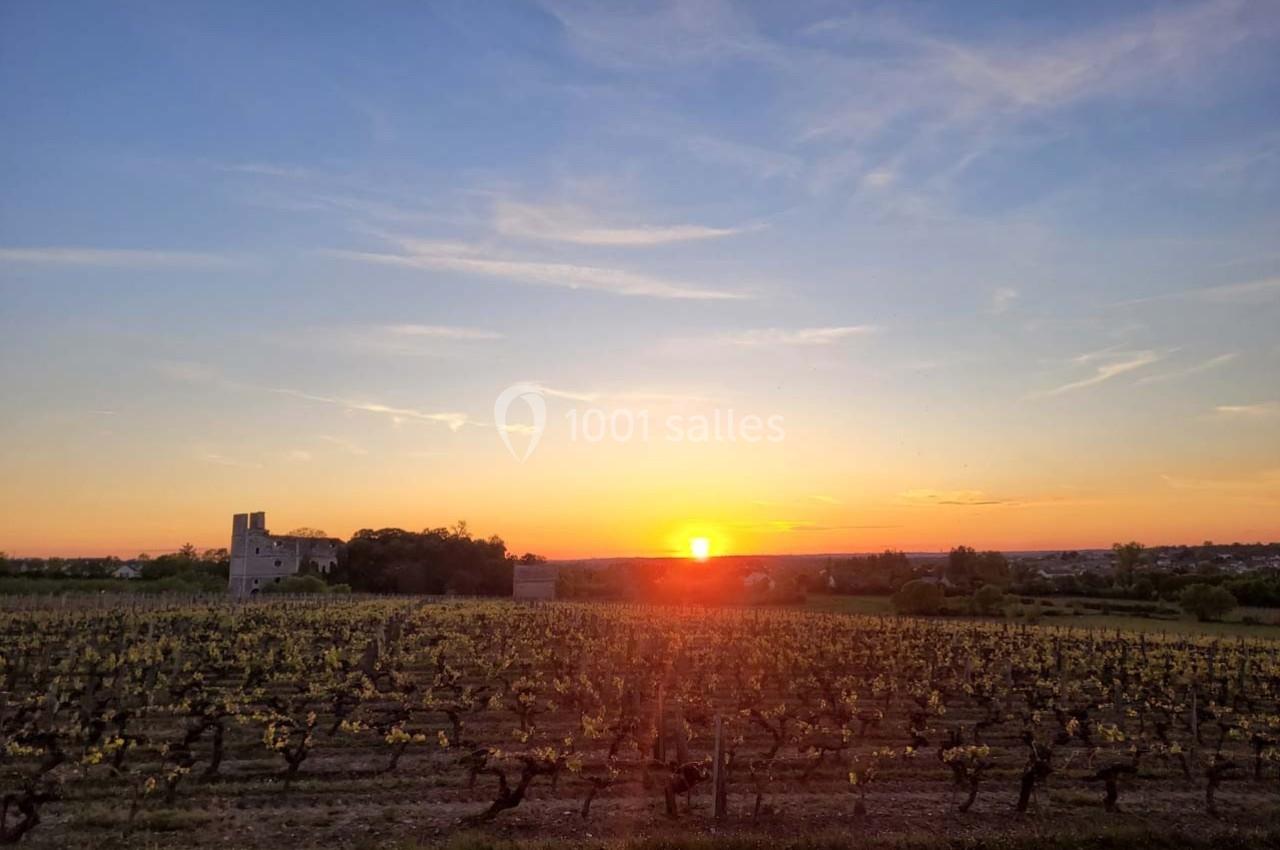 Coucher de soleil sur un vignoble avec une petite bâtisse en pierre à l'horizon sous un ciel dégagé.