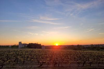 Vue d'un paysage rural avec un bâtiment moderne à gauche, des vignes et un château au loin sous un ciel dégagé.