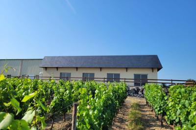 Vue d'un paysage rural avec un bâtiment moderne à gauche, des vignes et un château au loin sous un ciel dégagé.