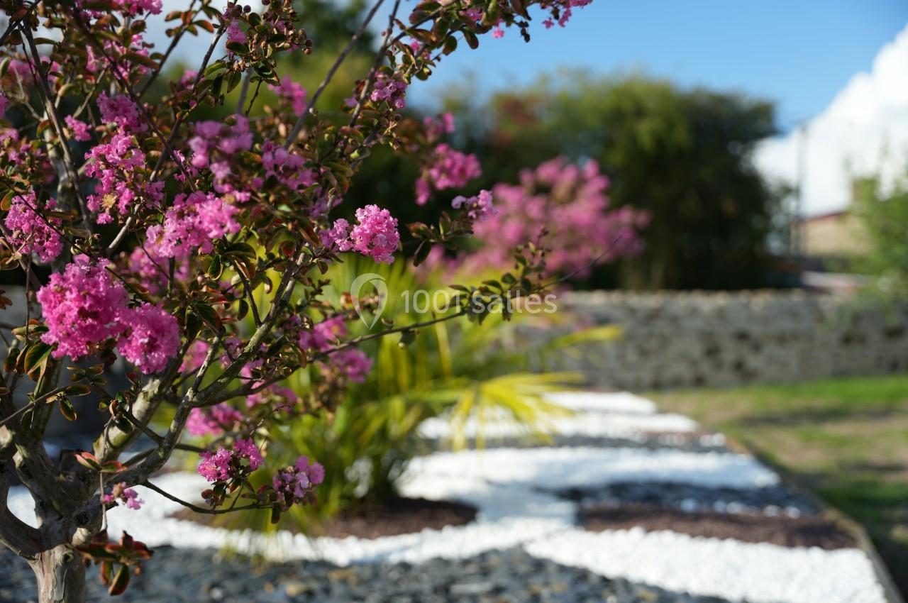 Arbre à fleurs roses en premier plan dans un jardin aménagé avec graviers blancs et végétation.