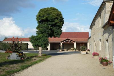 Cuisine professionnelle avec évier en inox, lave-vaisselle industriel, chariots noirs et casiers empilés sur sol carrelé.
