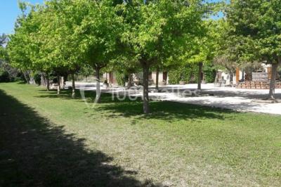 Bâtisse provençale entourée de cyprès et de champs verts, avec des arbres en arrière-plan sous un ciel clair.