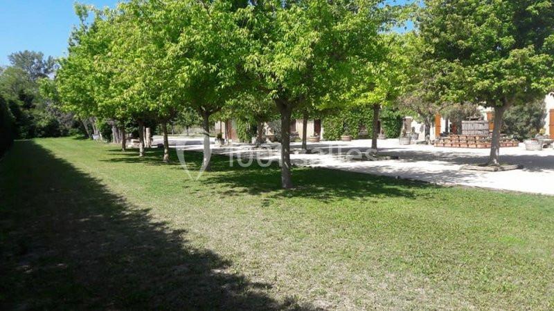 Pelouse verte bordée d'arbres alignés devant des bâtiments clairs sous un ciel bleu.