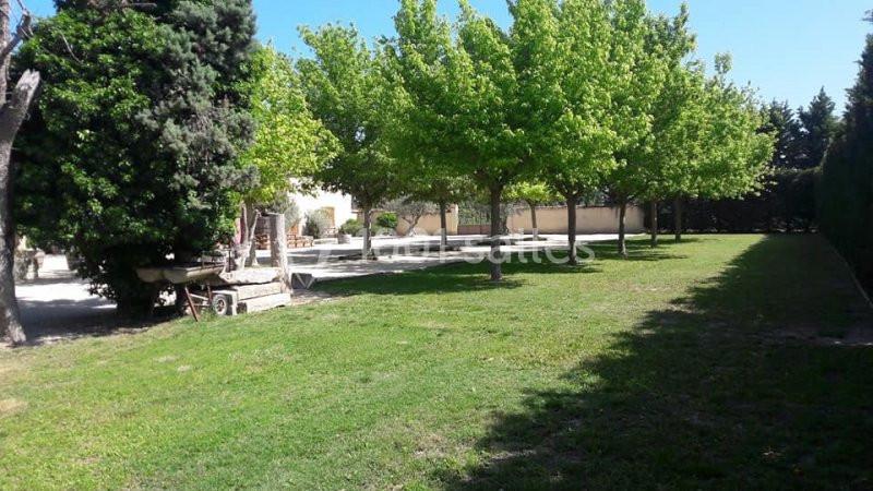 Pelouse verte bordée d'arbres sous un ciel bleu, avec une charrette en bois près d'un bâtiment clair.