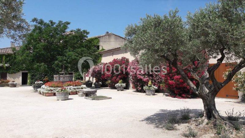Cour ensoleillée avec arbres, buissons fleuris, pots de fleurs et bâtiments en arrière-plan.