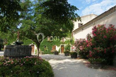 Bâtisse provençale entourée de cyprès et de champs verts, avec des arbres en arrière-plan sous un ciel clair.